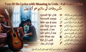 Tum Hi Ho Lyrics with Meaning in Urdu | Full Explanation