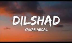 dilshad-song-lyrics-–-yawar-abdal