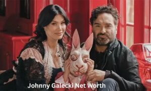 Johnny Galecki Net Worth