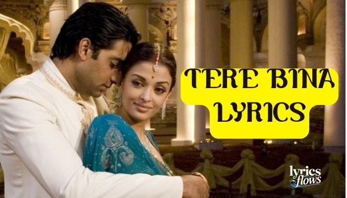 tere bina chand ka sona khota re lyrics